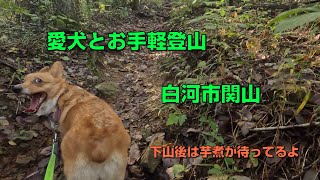 愛犬とお手軽登山。下山後は芋煮を食べました。【白河市関山】 [upl. by Genisia521]