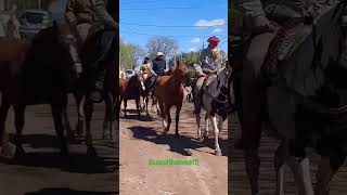 Gauchos Argentinos a Caballo 🐎🇦🇷🐎🇦🇷🐎🇦🇷 [upl. by Airad]