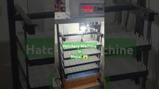 Hatchery Machine in Nepal  Wow  😱 [upl. by Jeramie]