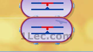 Bacterial Transformation [upl. by Miki]