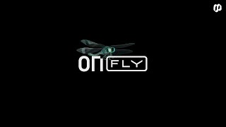 ONfly Insects  Animation Design  Canyon Bicycles [upl. by Aleibarg]