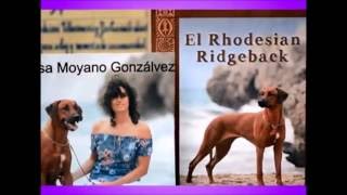 Entrevista a Rhodesian Ridgeback México [upl. by Packer]