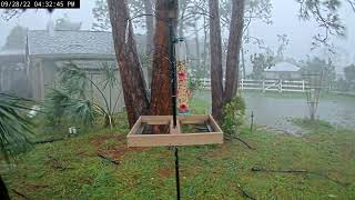 Cat 4 Hurricane Ian Video From Our Backyard Bird Feeder [upl. by Gnak]