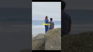 Unveiling Moeraki Boulders New Zealand’s Mysterious Spheres [upl. by Lilak299]