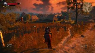 Witcher 3  HD 7950 3GB 1080p 60fps [upl. by Hatokad]