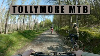 Tollymore natural MTB trails on the Marin Alpine Trail E2 [upl. by Saunderson]