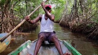 Reportaje Manglar CieÌnaga La Caimanera [upl. by Helas181]