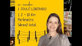 Como escolher a potência do seu energizador de cerca elétrica rural [upl. by Weismann]