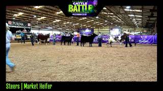 Stierwalt Cattle Battle [upl. by Zabrina]