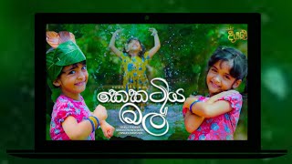 Kekatiya Mal  කෙකටිය මල්   Version Artist  Diyani Teledrama Song  MT Lyrics [upl. by Haily]