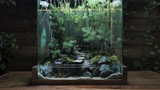 how to make a bamboo forest  Paludarium  Aquaterrarium [upl. by Adnohsek]