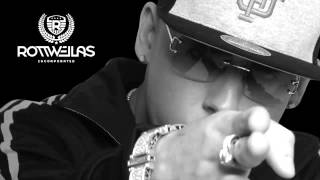 Dime Con Quien Andas Audio  Cosculluela El Principe [upl. by Rickart677]