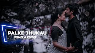 Palke Jhukau Tujhe Dil Mein Basau । Slowed amp Reverb। Salman Khan। Madhuri Dikshit। Music Dreaming। [upl. by Odlabu]