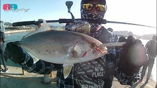 69jigging 2018基隆白燈岸拋鐵板vs紅甘最終回 台灣69J釣魚俱樂部69J Fishing Club [upl. by Ebsen783]