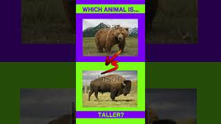 Animal Riddles Whos Faster Taller or Heavier funlearning quiz learnwildanimals [upl. by Adnarom]