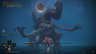 Metyr Mother of Fingers Level 1 Boss Fight Shadow of the Erdtree Level 1 Run [upl. by Aciram]