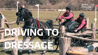 Carriage driving to dressage  Meet Sarah amp Exelent [upl. by Corkhill87]