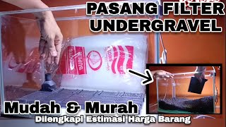 Cara Pasang Filter Undergravel dengan Aerator untuk Aquarium 40 cm dan berapa biayanya [upl. by Nnylaehs]