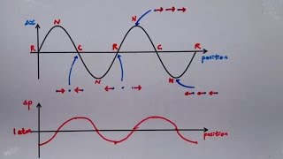 933 Graphical Representation of Wave Compression and Rarefaction [upl. by Ahsenre801]