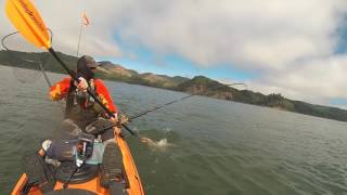 Chinook Kayak Fishing Summer 2016 [upl. by Ester]