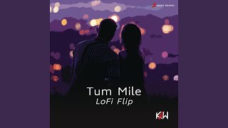 Tum Mile Lofi Flip [upl. by Hakeem]