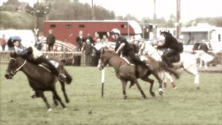 Mounted Games  Spring Championships 2014  Team Bedfordshire [upl. by Dinnie457]