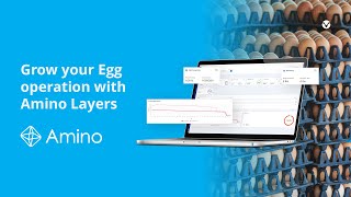 Grow your Egg operation with Amino Layers by MTech Systems  Egg production on Poultry farm [upl. by Frances]