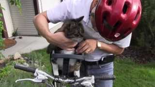 Mozarts first ride on the Buddyrider Bicycle Pet Seat [upl. by Coates533]