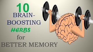 10 BrainBoosting Herbs for Better Memory  Nature Care 2017 [upl. by Greenleaf]