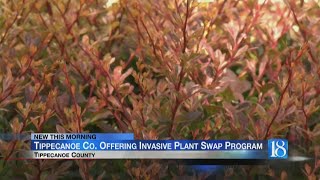 Tippecanoe County offering invasive plant swap program [upl. by Olag112]