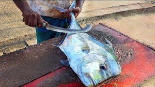 DIAMOND TREVALLY FISH CUTTING VIDEO  IN Vaddy Fishing Harbour [upl. by Hans]