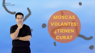 Moscas volantes ¿Tienen cura [upl. by Enutrof]