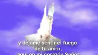 Alabanza׃“BAUTIZAME SEÑOR CON TU ESPIRITU “ subtitulado [upl. by Arakal]