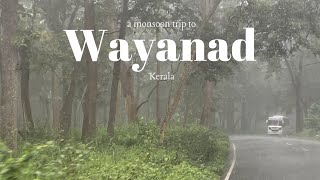 Cozy Monsoon days in Wayanad Kerala  Windflower Resort And Spa Vythiri  Attamala Glass Bridge [upl. by Etnuahs610]