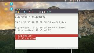 Tutorial 2 Binary data dan endianness [upl. by Nodmac]