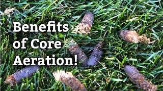 Benefits of Core Aeration l Expert Lawn Care Tips [upl. by Anaiv]