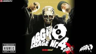 FLER  NEUE DEUTSCHE WELLE  AGGRO ANSAGE NR 4X  ALBUM  TRACK 02 [upl. by Gombosi231]