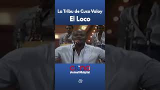 La Tribu de Cuco Valoy tremenda orquesta cucovaloy tendencia años80s tbt merengue navidad [upl. by Nirat]