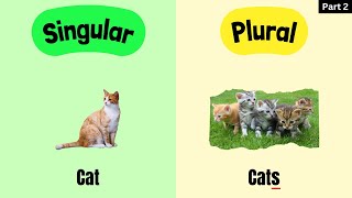 60 Most Common SINGULAR Vs PLURAL NOUNS  Part 2 [upl. by Buckler]