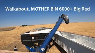 Walkabout® MOTHER BIN 6000 Big Red [upl. by Nomor]