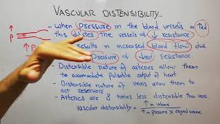 CVS physiology 65 Vascular distensibility Veins acting as blood reservoir blood flow circulation [upl. by Tevis]