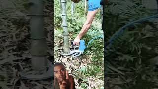 diy uwoodworkerfacts tools woodcutter stihl powerfulltools wood honestwoodcutter [upl. by Lezti]