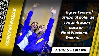 TIGRES FEMENIL LLEGÓ A SU HOTEL DE CONCENTRACIÓN PARA LA FINAL FRENTE A RAYADAS  ONCE Diario [upl. by Yaakov746]