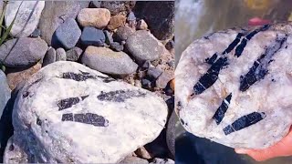 Tourmalin Crystals in sand  Black tourmaline with quartz [upl. by Enier896]