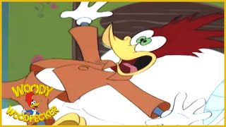 Woody Woodpecker  Getting Comfy  Woody Woodpecker Full Episode  Kids Cartoon  Videos for Kids [upl. by Eimmelc]