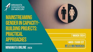 Minamata Online Mainstreaming gender in capacitybuilding projects [upl. by Nallak287]