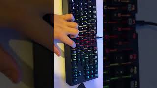 Razer BlackWidow Chroma Sound Test [upl. by Demetra979]