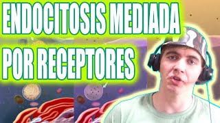 APRENDÉ FÁCIL Y RÁPIDO QUÉ ES LA ENDOCITOSIS MEDIADA POR RECEPTORES [upl. by Warder96]