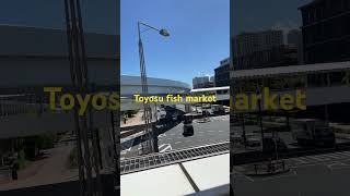 Toyosu fish market Japan fishing japan [upl. by Zacharias]