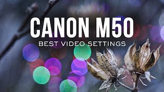 Canon 250D Cinematic Settings With Color Grading 2023 [upl. by Aitropal818]